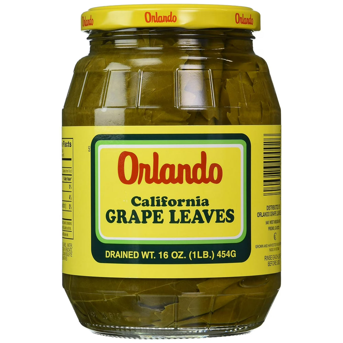 Grape Leaves - Orlando